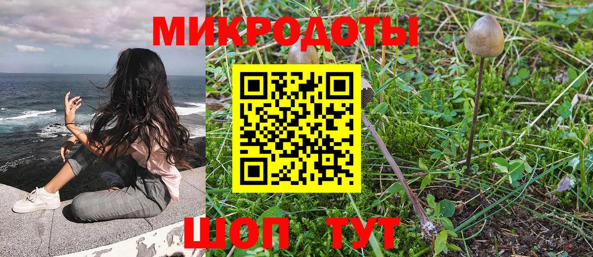 Галлюциногенные грибы Magic Shrooms Алейск