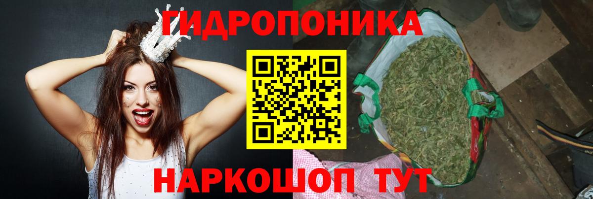 Конопля конопля Алейск